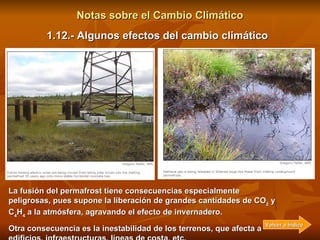 Notas sobre el Cambio Climático 1.12.- Algunos efectos del cambio climático Uno de los efectos más patentes, descubierto e...