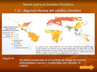 Notas sobre el Cambio Climático 1.12.- Algunos efectos del cambio climático <ul><li>Un de los efectos que puede tener cons...