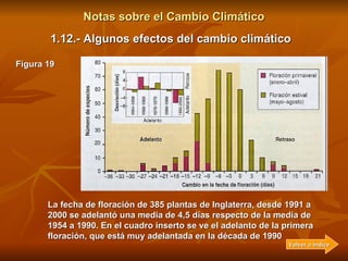Notas sobre el Cambio Climático 1.12.- Algunos efectos del cambio climático Un efecto inesperado es el aumento de riesgo d...