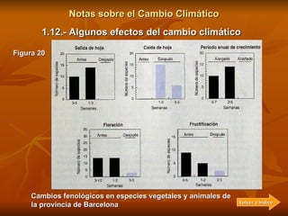 Notas sobre el Cambio Climático 1.12.- Algunos efectos del cambio climático <ul><li>En la actualidad, se conocen con segur...