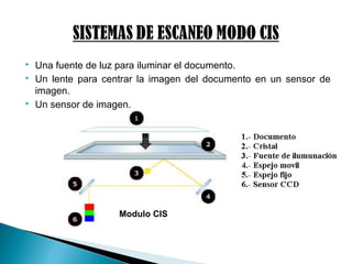  Una fuente de luz para iluminar el documento.
 Un lente para centrar la imagen del documento en un sensor de
imagen.
 Un sensor de imagen.
Modulo CIS
 