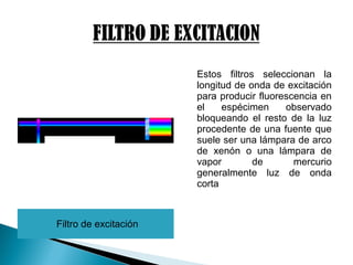 Filtro de excitación
Estos filtros seleccionan la
longitud de onda de excitación
para producir fluorescencia en
el espécimen observado
bloqueando el resto de la luz
procedente de una fuente que
suele ser una lámpara de arco
de xenón o una lámpara de
vapor de mercurio
generalmente luz de onda
corta
 