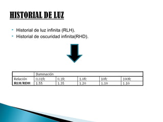  Historial de luz infinita (RLH).
 Historial de oscuridad infinita(RHD).
 