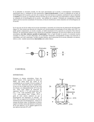 Notas de Petrografia PDF