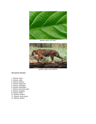 garisan pada urat daun
garisan pada kulit harimau
Jenis-jenis Garisan
1. Garisan halus
2. Garisan tebal
3. Garisan beralun
4. Garisan berpancar
5. Garisan berlingkar
6. Garisan berserabut
7. Garisan bersudut-sudut
8. Garisan bergerigi
9. Garisan berbiji
10. Garisan berbulu
11. Garisan putus-putus
12. Garisan berduri
 