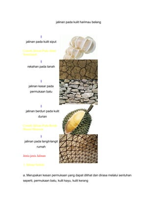 jalinan pada kulit harimau belang
§
jalinan pada kulit siput
Contoh Jalinan Pada Alam
Semulajadi
§
rekahan pada tanah
§
jalinan kasar pada
permukaan batu
§
jalinan berduri pada kulit
durian
Contoh Jalinan Pada Benda
Buatan Manusia
§
jalinan pada langit-langit
rumah
Jenis-jenis Jalinan
1. Jalinan Sentuh
a. Merupakan kesan permukaan yang dapat dilihat dan dirasa melalui sentuhan
seperti, permukaan batu, kulit kayu, kulit kerang
 
