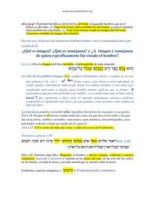 www.descubrelabiblia.org



1Co 15:47 El primer hombre es de la tierra, terrenal; el segundo hombre, que es el
   Señor, es del cielo. 48 Cual el terrenal, tales también los terrenales; y cual el celestial,
   tales también los celestiales. 49 Y así como hemos traído la imagen del terrenal,
   traeremos también la imagen del celestial.

En este caso, Adam no solo representa al primer hombre, sino a la humanidad entera que
vendría de él.
¿Qué es imagen? ¿Qué es semejanza? y ¿A imagen y semejanza
       de quien específicamente fue creado el hombre?

Col 1:15 El es la imagen del Dios invisible, el primogénito de toda creación.
                                       ‫ְכ ר ָל־נב ָא׃‬
                                         ‫ִ ְר‬       ‫ב‬          ‫ְה א צל ה ֱלֹ ִי הֶעל‬
                                                               ָ ְ ַ ‫ֶ ֶ ָא ה‬      ‫ו‬
La raíz de la palabra imagen ( ‫ )צל‬significa literalmente cubrir, o sombra en su raíz
                               ֶֶ
   más primitiva (‫ צל‬tzel )                Como vemos, estas letras a nivel individual, la
   tzadik significa literalmente lado (tzad). Según los rabinos también es una letra cuyo
   significado representa a alguien justo (tzadik) incluso explican que su forma: ‫צ‬
   representa a una persona inclinada o de rodillas, y si consideramos que al lado está la
   lamed ‫ ל‬que representa a Dios como el supremo gobernante, entonces podemos
   comprender el significado más básico de esta palabra, como un justo o una sombra al
   lado del líder.

La raíz de la palabra invisible ( ‫ ) על‬significa literalmente esconder o incognito.
Col.1.16. Porque en él fueron creadas todas las cosas, las que hay en los cielos y las que
hay en la tierra, visibles e invisibles; sean tronos, sean dominios, sean principados, sean
potestades; todo fue creado por medio de él y para él.
 Col.1.17. Y él es antes de todas las cosas, y todas las cosas en él subsisten;

Volvamos a génesis 1:26
‫ויאמר אלהים נעשׂה אדם בצלמנו כדמותנו וירדו בדגת הים ובעוף השׁמים‬Gen 1:26
                                       ‫ובבהמה ובכל־הארץ ובכל־הרמשׂ הרמשׂ על־הארץ׃‬

Gén.1.26. Entonces dijo Dios: Hagamos al hombre a nuestra imagen, conforme a nuestra
semejanza; (parecido a nosotros) y señoree en los peces del mar, en las aves de los cielos,
en las bestias, en toda la tierra, y en todo animal que se arrastra sobre la tierra.

Conforme a nuestra semejanza = ‫ = כדמותנו‬Como parecido a nosotros.
 