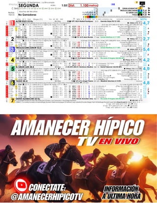 Domingo, 29 Septiembre | La Rinconada
💰$12.000 ① $7.200 2️⃣ $3.360 3️⃣ $840 4️⃣ $360 5️⃣ $240 GRAN AZABACHE 🏇
TIROLOCOMCGR...