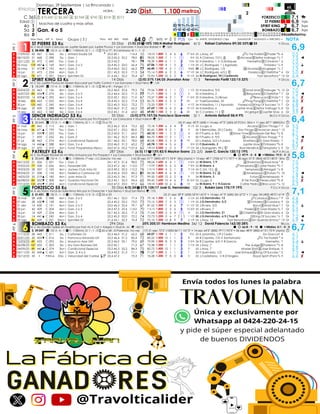 Domingo, 29 Septiembre | La Rinconada |
💰$10.600 ① $6.360 2️⃣ $2.968 3️⃣ $742 4️⃣ $318 5️⃣ $212 FORZESCO 7,1 🏇
Edad ① ST P...