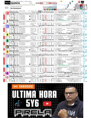 Domingo, 29 Septiembre | La Rinconada
💰$12.000 ① $7.200 2️⃣ $3.360 3️⃣ $840 4️⃣ $360 5️⃣ $240 STAR PLUS 5,2 🏇
RENACER 5,2 ...