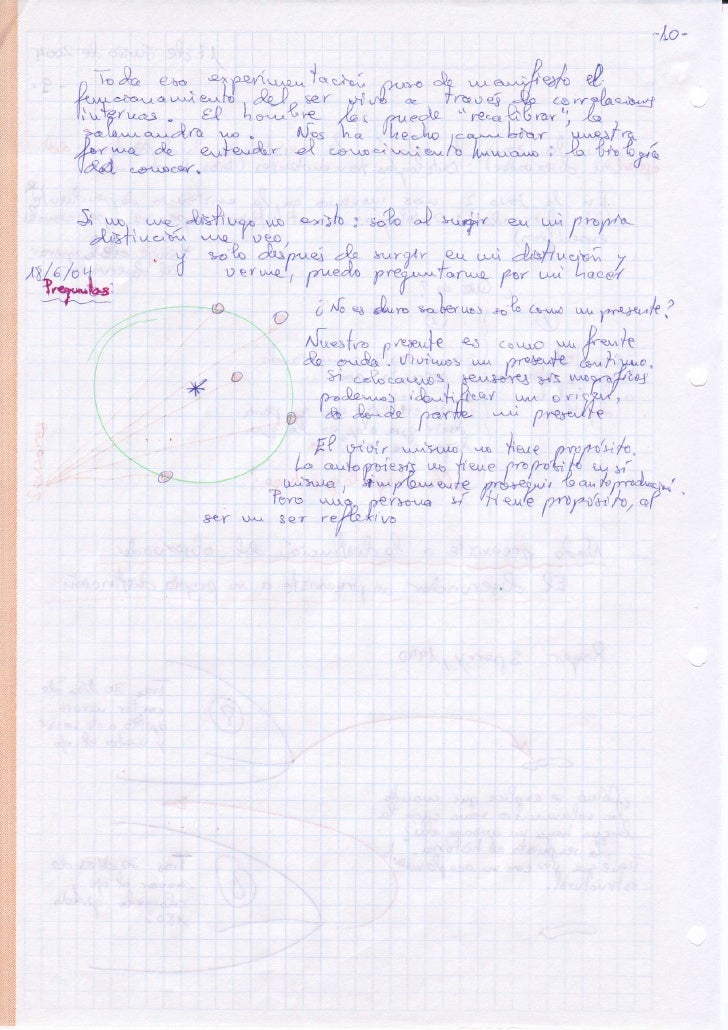 Seminario Con Humberto Maturana En Bilbao Notas Junio 04