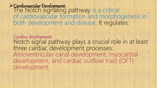 Cardiovascular Development:
The Notch signaling pathway is a critical
of cardiovascular formation and morphogenesis in
both development and disease. It regulates:
Cardiac development
Notch signal pathway plays a crucial role in at least
three cardiac development processes:
Atrioventricular canal development, myocardial
development, and cardiac outflow tract (OFT)
development.
 
