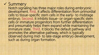  Summery
Notch signaling has three major roles during embryonic
development. First, it affects differentiation from primordial
cells to tissue‐specific stem cells in the early‐ to midstage
embryo. Second, it inhibits tissue‐ or organ‐specific stem
cells or immature progenitors from further differentiation
and presumably helps them expand while maintaining the
immature state. Third, it blocks the default pathway and
promotes the alternative pathway, which is typically
observed during mid‐ to late‐stage embryo development,
such as during organ formation.
 