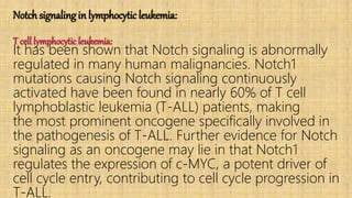 Notch signaling in lymphocytic leukemia:
T cell lymphocytic leukemia:
It has been shown that Notch signaling is abnormally
regulated in many human malignancies. Notch1
mutations causing Notch signaling continuously
activated have been found in nearly 60% of T cell
lymphoblastic leukemia (T-ALL) patients, making
the most prominent oncogene specifically involved in
the pathogenesis of T-ALL. Further evidence for Notch
signaling as an oncogene may lie in that Notch1
regulates the expression of c-MYC, a potent driver of
cell cycle entry, contributing to cell cycle progression in
T-ALL.
 