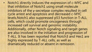 • Notch1 directly induces the expression of c-MYC and
that inhibition of Notch1 using small molecule
inhibitors of the γ-secretase complex resulted in cell
cycle arrest and apoptosis and decreased c-MYC
levels.Notch1 also suppressed p53 function in T-ALL
cells, which could promote oncogenesis through
increased cell survival and genomic instability.
Additionally, other Notch signaling and target genes
are also involved in the initiation and progression of
T-ALL. It has been reported that Notch3 and Hes1 are
highly expressed by T-ALL cells, as well as
dramatically reduced or absent in remission.
 
