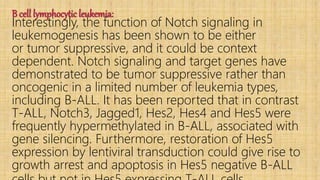 B cell lymphocytic leukemia:
Interestingly, the function of Notch signaling in
leukemogenesis has been shown to be either
or tumor suppressive, and it could be context
dependent. Notch signaling and target genes have
demonstrated to be tumor suppressive rather than
oncogenic in a limited number of leukemia types,
including B-ALL. It has been reported that in contrast
T-ALL, Notch3, Jagged1, Hes2, Hes4 and Hes5 were
frequently hypermethylated in B-ALL, associated with
gene silencing. Furthermore, restoration of Hes5
expression by lentiviral transduction could give rise to
growth arrest and apoptosis in Hes5 negative B-ALL
 