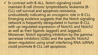  In contrast with B-ALL, Notch signaling could
maintain B cell chronic lymphoblastic leukemia (B-
CLL) cell survival and apoptosis resistance,
undoubtedly indicating an oncogenic role in B-CLL.
Emerging evidence suggests that the Notch signaling
network is frequently deregulated in human B-CLL
with up-regulated expression of Notch1 and Notch2
as well as their ligands Jagged1 and Jagged2.
Moreover, Notch signaling inhibition by the gamma-
secretase inhibitors (GSIs) and the specific Notch2
down-regulation using small interfering RNA (siRNA)
could promote B-CLL cell apoptosis.
 
