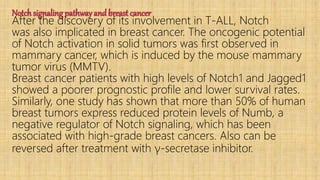 Notchsignaling pathway and breast cancer
After the discovery of its involvement in T-ALL, Notch
was also implicated in breast cancer. The oncogenic potential
of Notch activation in solid tumors was first observed in
mammary cancer, which is induced by the mouse mammary
tumor virus (MMTV).
Breast cancer patients with high levels of Notch1 and Jagged1
showed a poorer prognostic profile and lower survival rates.
Similarly, one study has shown that more than 50% of human
breast tumors express reduced protein levels of Numb, a
negative regulator of Notch signaling, which has been
associated with high-grade breast cancers. Also can be
reversed after treatment with γ-secretase inhibitor.
 