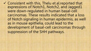  Consistent with this, Thelu et al.reported that
expressions of Notch1, Notch2, and Jagged1
were down-regulated in human basal-cell
carcinomas. These results indicated that a loss
of Notch signaling in human epidermis, as well
as in mouse epithelia, could lead to the
development of basal-cell carcinomas through
suppression of the SHH pathways.
 