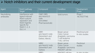 Development
Phase
ConditionCompoundNotch pathway
Target
Agent
Phase 1
NCT01277146
Solid tumorsOMP-59R5
anti-Notch2/3
mAb
(OncoMed
Pharmaceuticals)
Interference with
ligand-induced
Notch subunit
separation and
Notch ligands.
Specific for
Notch 1, 2, 3;
DLL1, 4
Neutralizing
antibodies
Preclinical and
In vitro studies
Breast cancer
Colon Cancer
Anaplastic carcinoma
T-cell leukemia
T-ALL cell line
NRR1
anti-Notch1 mAb
(Genentech and
Exelixis; Merck)
Preclinical
studies
Breast cancer
Colon Cancer
Anaplastic carcinoma
HEK293T cell line
NRR2
anti-Notch2 mAb
(Genentech and
Exelixis)
 Notch inhibitors and their current development stage
 