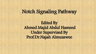 Notch Signaling Pathway
Edited By
Ahmed Majid Abdul Hameed
Under Supervised By
Prof.Dr.Najah Almusawee
 