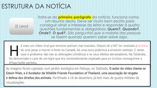 ESTRUTURA DA NOTÍCIA
2) Lead
Trata-se do primeiro parágrafo da notícia, funciona como
um resumo desta. Deve ser muito bem escrito para
conseguir atrair o interesse do leitor e responder à quatro
questões fundamentais e obrigatórias: Quem?, Quando?,
Onde?, O quê?. São perguntas que a maioria das pessoas
se fazem quando querem saber sobre algo.
 