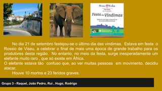 No dia 21 de setembro festejou-se o último dia das vindimas. Estava em festa o 
Rossio de Viseu, a celebrar o final de mais uma época de grande trabalho para os 
produtores desta região. No entanto, no meio da festa, surge inesperadamente um 
elefante muito raro , que só existe em África. 
O elefante estava tão confuso que, ao ver muitas pessoas em movimento, decidiu 
atacar. 
Houve 10 mortos e 23 feridos graves. 
Grupo 3 - Raquel, João Pedro, Rui , Hugo, Rodrigo 
 