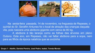 Na sexta-feira passada, 14 de novembro, na freguesia de Repeses, o 
quintal do Sr. Serafim Antunes foi o local de atração das crianças daquela 
vila, pois nascera uma abóbora gigante com cerca de 80 kg. 
A abóbora é tão laranja como as folhas das árvores em pleno 
Outono. Este ano, em Repeses, não vai faltar abóbora para a sopa, nem 
para as filhós da época natalícia que se avizinha. 
Grupo 1 - Adolfo, Daniela Pereira, José Pedro, Isabel, Tomás Morais 
 