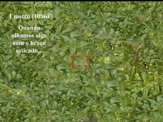 1 metro (100
m)
Quando
olhamos algo
com o braço
esticado...
 