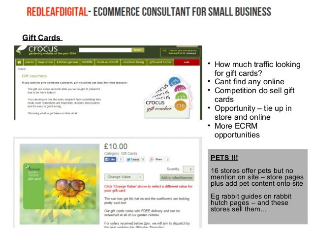 notcutts rabbit hutch