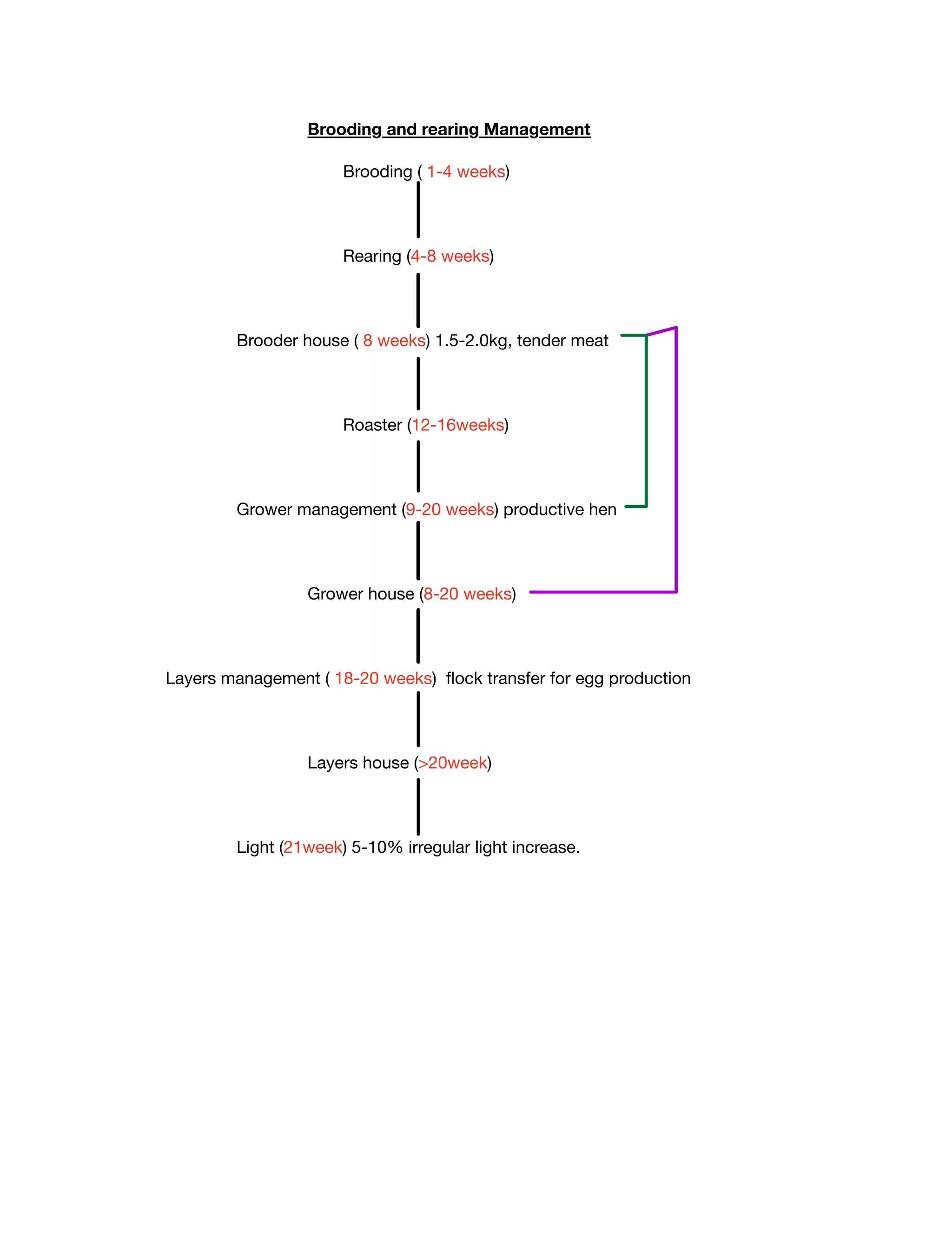 Brooding and rearing manegement pdf | PDF