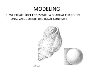 MODELING
• WE CREATE SOFT EDGES WITH A GRADUAL CHANGE IN
TONAL VALUE OR DIFFUSE TONAL CONTRAST

 