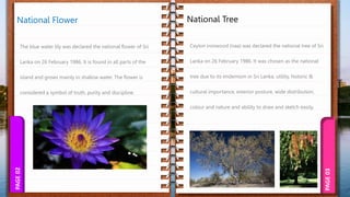 PAGE
03
PAGE
02 National Tree
National Flower
 