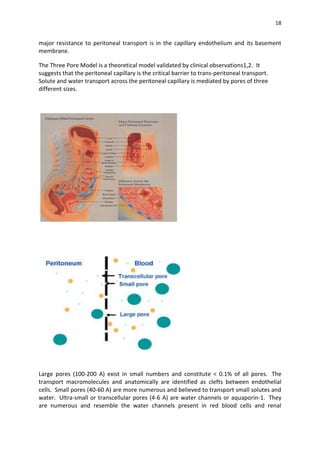 18
major resistance to peritoneal transport is in the capillary endothelium and its basement
membrane.
The Three Pore Model is a theoretical model validated by clinical observations1,2. It
suggests that the peritoneal capillary is the critical barrier to trans-peritoneal transport.
Solute and water transport across the peritoneal capillary is mediated by pores of three
different sizes.
Large pores (100-200 A) exist in small numbers and constitute < 0.1% of all pores. The
transport macromolecules and anatomically are identified as clefts between endothelial
cells. Small pores (40-60 A) are more numerous and believed to transport small solutes and
water. Ultra-small or transcellular pores (4-6 A) are water channels or aquaporin-1. They
are numerous and resemble the water channels present in red blood cells and renal
 