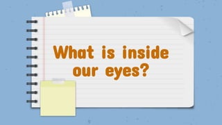What is inside
our eyes?
 