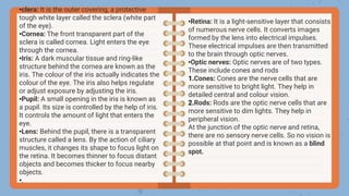 •clera: It is the outer covering, a protective
tough white layer called the sclera (white part
of the eye).
•Cornea: The front transparent part of the
sclera is called cornea. Light enters the eye
through the cornea.
•Iris: A dark muscular tissue and ring-like
structure behind the cornea are known as the
iris. The colour of the iris actually indicates the
colour of the eye. The iris also helps regulate
or adjust exposure by adjusting the iris.
•Pupil: A small opening in the iris is known as
a pupil. Its size is controlled by the help of iris.
It controls the amount of light that enters the
eye.
•Lens: Behind the pupil, there is a transparent
structure called a lens. By the action of ciliary
muscles, it changes its shape to focus light on
the retina. It becomes thinner to focus distant
objects and becomes thicker to focus nearby
objects.
•.
•Retina: It is a light-sensitive layer that consists
of numerous nerve cells. It converts images
formed by the lens into electrical impulses.
These electrical impulses are then transmitted
to the brain through optic nerves.
•Optic nerves: Optic nerves are of two types.
These include cones and rods
1.Cones: Cones are the nerve cells that are
more sensitive to bright light. They help in
detailed central and colour vision.
2.Rods: Rods are the optic nerve cells that are
more sensitive to dim lights. They help in
peripheral vision.
At the junction of the optic nerve and retina,
there are no sensory nerve cells. So no vision is
possible at that point and is known as a blind
spot.
 