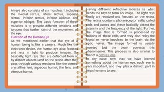 An eye also consists of six muscles. It includes
the medial rectus, lateral rectus, superior
rectus, inferior rectus, inferior oblique, and
superior oblique. The basic function of these
muscles is to provide different tensions and
torques that further control the movement of
the eye.
Function of the Human Eye
As we mentioned earlier that the eye of a
human being is like a camera. Much like the
electronic device, the human eye also focuses
and lets in light to produce images. So
basically, light rays that are deflected from or
by distant objects land on the retina after they
pass through various mediums like the cornea,
crystalline lens, aqueous humor, the lens, and
vitreous humor.
Having different refractive indexes is what
bends the rays to form an image. The light rays
finally are received and focused on the retina.
The retina contains photoreceptor cells called
rods and cones and these basically detect the
intensity and the frequency of the light. Further,
the image that is formed is processed by
millions of these cells, and they also relay the
signal or nerve impulses to the brain via the
optic nerve. The image formed is usually
inverted but the brain corrects this
phenomenon. This process is also similar to
that of a convex lens.
In any case, now that we have learned
something about the human eye, each eye is
very important, and they play a distinct part in
helps humans to see.
 