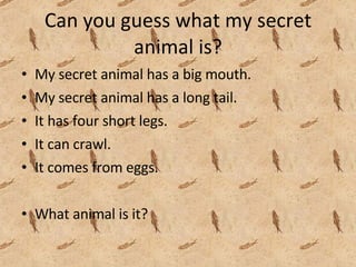 Can you guess what my secret animal is? My secret animal has a big mouth. My secret animal has a long tail. It has four short legs. It can crawl. It comes from eggs. What animal is it?  