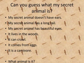 Can you guess what my secret animal is? My secret animal doesn’t have ears. My secret animal has a long tail. My secret animal has beautiful eyes. It lives in the woods. It can crawl. It comes from eggs. It is a carnivore. What animal is it?  