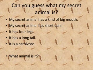 Can you guess what my secret animal is? My secret animal has a kind of big mouth. My secret animal has short ears. It has four legs. It has a long tail. It is a carnivore. What animal is it?  