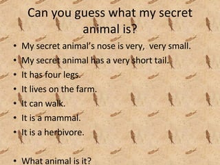 Can you guess what my secret animal is? My secret animal’s nose is very,  very small. My secret animal has a very short tail. It has four legs. It lives on the farm. It can walk. It is a mammal. It is a herbivore.  What animal is it?  