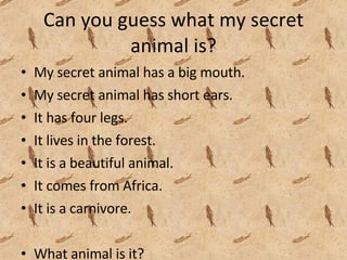 Can you guess what my secret animal is? My secret animal has a big mouth. My secret animal has short ears. It has four legs. It lives in the forest. It is a beautiful animal. It comes from Africa. It is a carnivore. What animal is it?  
