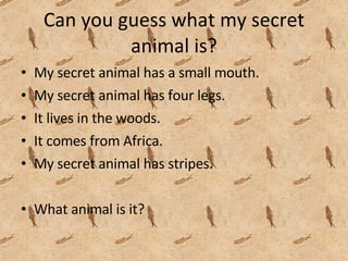 Can you guess what my secret animal is? My secret animal has a small mouth. My secret animal has four legs. It lives in the woods. It comes from Africa. My secret animal has stripes. What animal is it?  