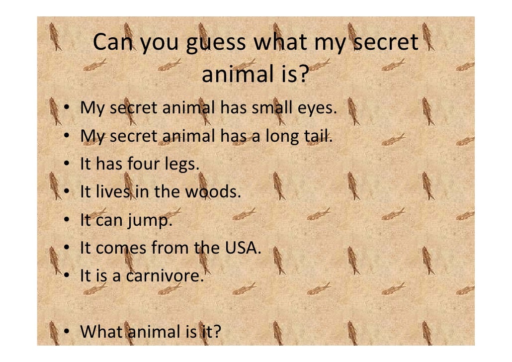 Animal Quiz group 3