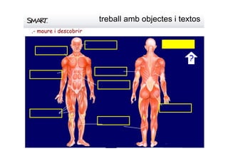 bessons
glutis
quadriceps
.- moure i descobrir
treballambobjectesitextos
bessons
glutis
quàdriceps
pectorals
trícepsbíceps
abdominals
orbiculars
?
 