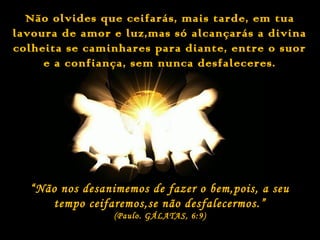 Não olvides que ceifarás, mais tarde, em tua
lavoura de amor e luz,mas só alcançarás a divina
colheita se caminhares para diante, entre o suor
e a confiança, sem nunca desfaleceres.

“ Não nos desanimemos de fazer o bem,pois, a seu
tempo ceifaremos,se não desfalecermos.”
(Paulo. GÁLATAS, 6:9)

 