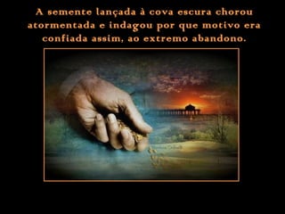 A semente lançada à cova escura chorou
atormentada e indagou por que motivo era
confiada assim, ao extremo abandono.
 