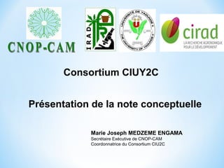 Présentation de la note conceptuelle
Consortium CIUY2C
Marie Joseph MEDZEME ENGAMA
Secrétaire Exécutive de CNOP-CAM
Coordonnatrice du Consortium CIU2C
 