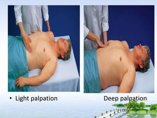 • Light palpation Deep palpation
 