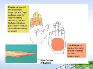 Ulnar Surface
(Vibration)
 